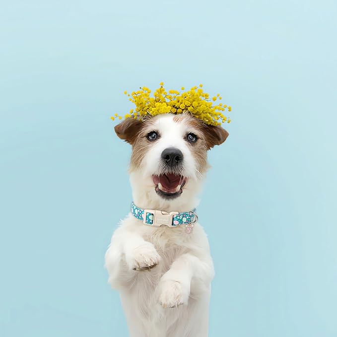 Lionet Paws Easter Dog Collar- Cute Colorful Eggs Green Dog Collars with Plastic Buckle, Light Adjustable Dog Collars with Egg Pendant for Medium Large Dogs
