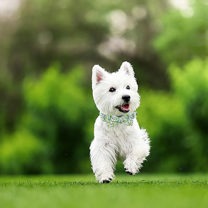 Dog Collar Big Dills Dog Collar Pet Collar Dog Summer Collar Holiday Dog Collar Girl or Boy Pet Dog Collar Adjustable Dog Collar for X-Large Dogs