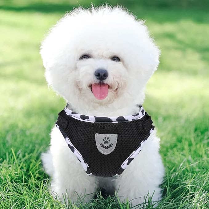 FEimaX Dog Harness and Leash Set for Walking, Soft Mesh Adjustable Easy Control Lightweight Cat Vest Harnesses with Reflective Strips, Escape Proof Small Dogs Cats Vests