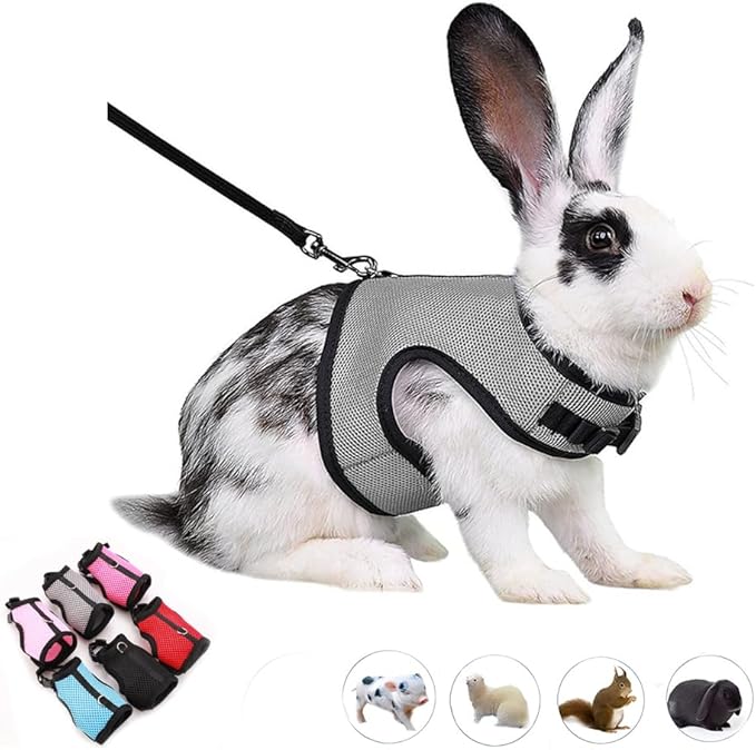 Bunny Harness and Leash Escape Proof,Rabbit Harness Vest Leash Set Mesh Walking Training for Small Animal Pets Rat Hamster Ferret Squirrel Chinchillas Guinea Pig Bunnies,Grey XL