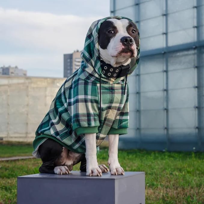 Spark Paws Dog Hoodie - Premium Quality, Buttery Soft, Superior Comfort and Fit, Calming Fleece Interior, Suitable for All Breeds - Green Plaid - 4XL