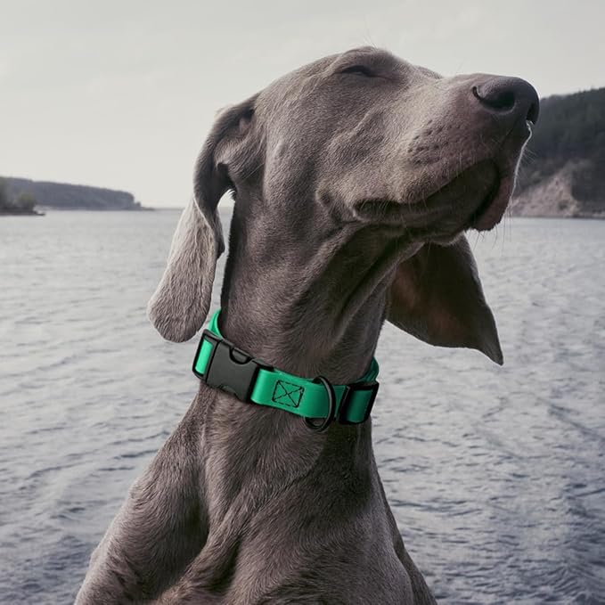Dogline Biothane Waterproof Dog Collar with Quick Release Buckle Strong Coated Nylon Webbing with Odor- Proof for Easy Care Easy to Clean Fits Small Medium or Large Dogs, Teal 1" W 15-23" L