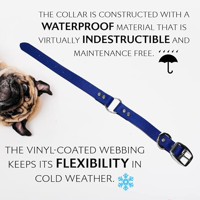 Regal Dog Products Small Blue Waterproof Dog Collar and Leash Set | Heavy Duty Double Buckle & D Ring - 5'ft Leash | Adjustable Biothane Dog Collar | Chew Resistant Waterproof Collar for Dogs