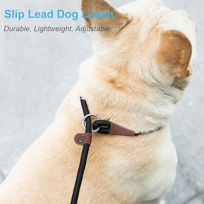 MayPaw Slip Lead Control Leash for Dogs No Pull, 13+ Colors Classic Dog Lead 7FT Pet Slip Leash, 1/4” Rope Leashes for Small Medium Animals (7ft*1/4", Dark Green)