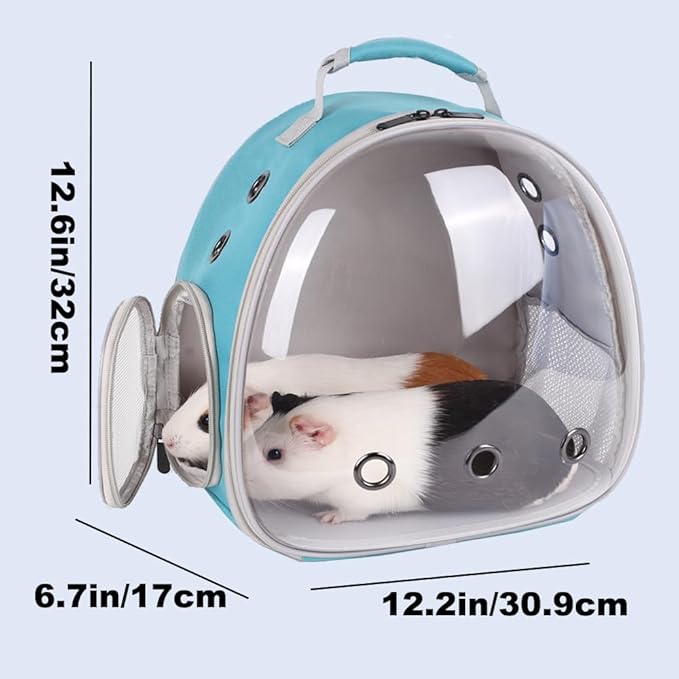 Portable Guinea Pig Backpack with Small Bag Harness and Leash Set, Space Capsule Bubble Pet Carrier Cage Travel for Rabbit, Bearded Dragon, Sugar Glider (Green, Backpack)