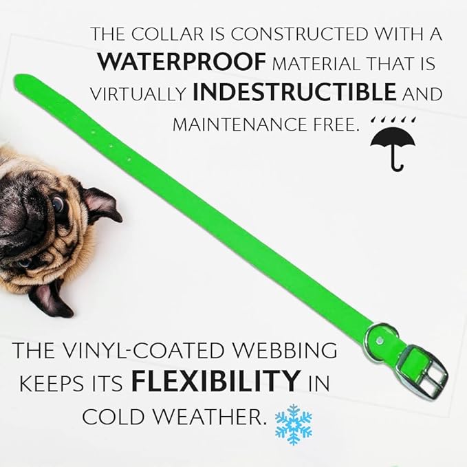 Regal Dog Products Small Light Green Waterproof Dog Collar and Leash Set | Heavy Duty Double Buckle & D Ring - 5'ft Leash | Adjustable Biothane Dog Collar | Chew Resistant Waterproof Collar for Dogs