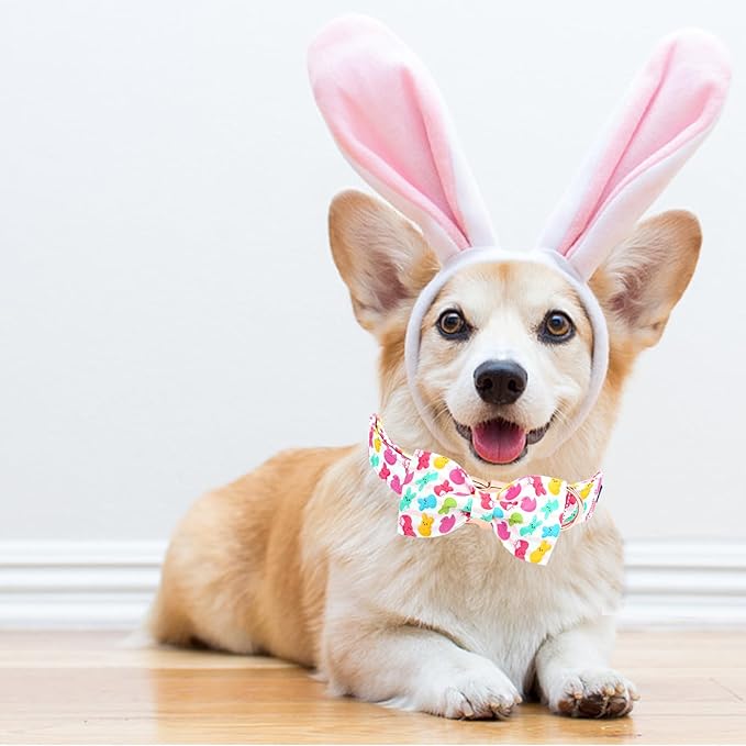 Lionheart glory Dog Bow Collar Easter Day Dog Collar for X-Small Dogs,Easter Rabbits Colorful Dog Collars with Bowtie Spring Bunnies Blue Collars Puppy Bows