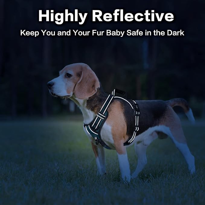 PoyPet No Pull Dog Harness, No Choke Front Clip Reflective Dog Vest with Soft Padded Vertical Handle, 3 Leash Attachments for Small Medium Large Dogs (Tumalo Teal,XL)