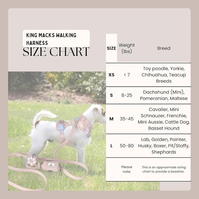 King Macks Dog Harness Set with Collar and Leash, Waste Bag Holder and Dirty Waste Bag Clip, Adjustable for Small/Medium/Large Dogs, Lightweight (Lavender, Large)