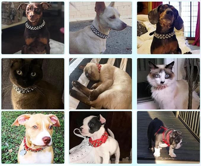 Yellow Puppy Collar with Spike, Mushrooms Rivet Spiked Dog Collar Anti-Bite Studded Protective Pet Neck Faux Leather Boy Cat Collars for XXS XS Small Medium Large Male Dogs Goat, S