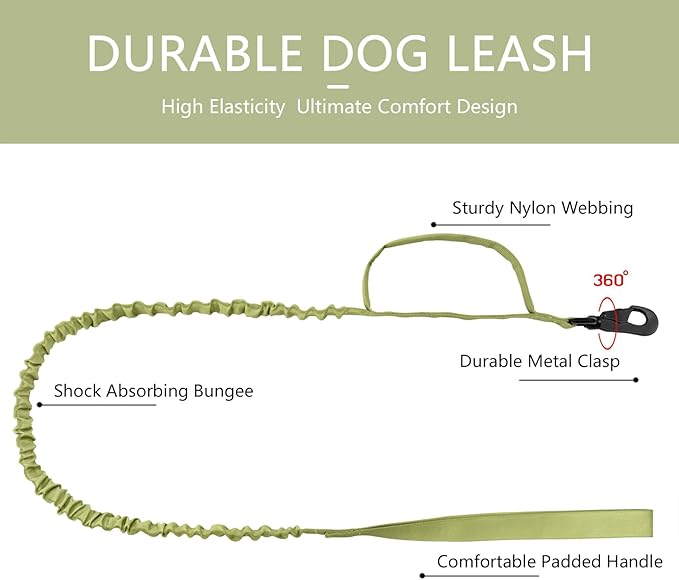 DAGANXI Tactical Dog Collar, Adjustable Military Training Nylon Dog Collar with Control Handle and Heavy Metal Buckle for Medium and Large Dogs, with Patches and Airtags Case (XL, Spring Grass-Set)
