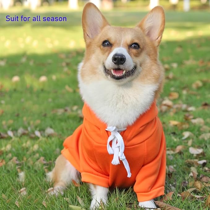 ANIAC Funny Pet Clothes for Small Dog Cat Carrot Hoodies Warm Sweatshirt Coat With Fruit Hood Fall Puppy Cat Sweater Halloween Easter Carrot Costume (Orange, X-Small)