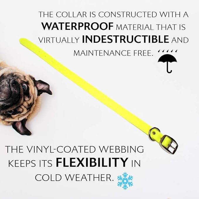 Regal Dog Products Small Yellow Waterproof Dog Collar and Leash Set | Heavy Duty Double Buckle & D Ring - 5'ft Leash | Adjustable Biothane Dog Collar | Chew Resistant Waterproof Collar for Dogs