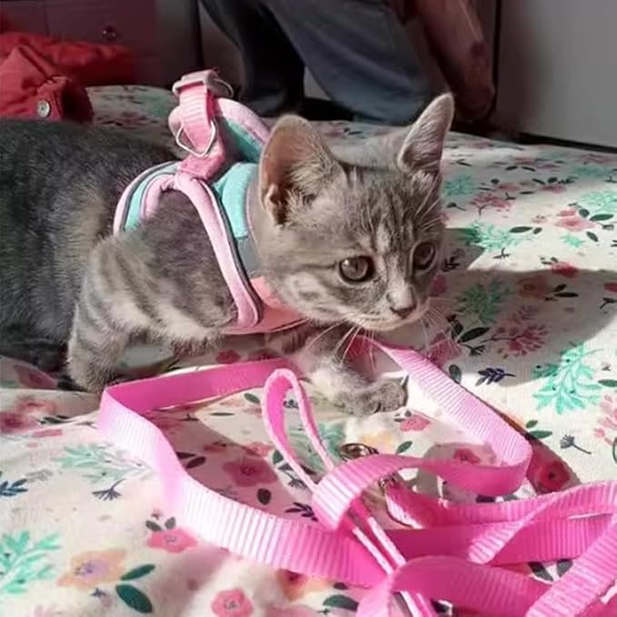 Bunny Harness and Leash Set - Reflective Strip Kitten Vest Harness, Escape Proof Rabbit Leash Walking Pet Accessories for Cat, Dog, Guinea Pig and Small Animals (Pink, XXS)