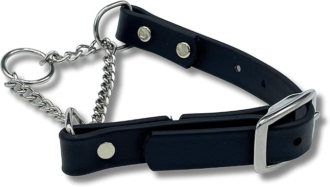 Martingale Collar for Dogs, Biothane, Stainless Steel Hardware, No Pull, Made in The USA, Professional Grade, XS, Black