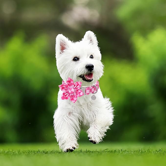 Dog Collar with Flower, UP URARA PUP Cute Pink Dog Bowtie Collar, Detachable Flower Bow Puppy Collar with Metal Buckle for Dogs,L