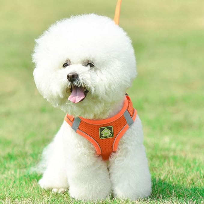leconpet Step in Dog Harness, Vest Harness and Leash Set for Small Medium Dogs, Puppy Harness, Mesh Reflective Dog Harness Vest (Orange, XL)