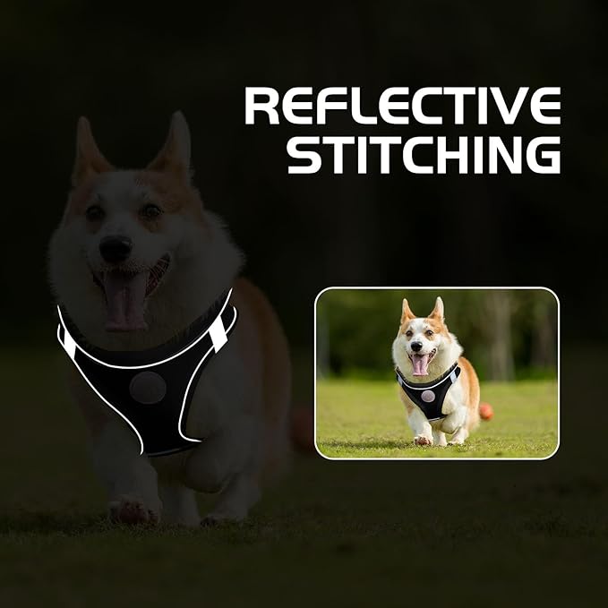 Soft Mesh Dog Harness and Leash Set, No Pull Puppy Harness and Leash Set, Reflective Step in Harness for Small Medium Dogs, Easy Walk Escape Proof Vest Harnesses (Black, XS)