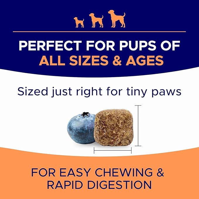 Dog Allergy Relief Chews — Itch Relief Skin & Coat Supplement: No Fillers, Just Flavor - Itchy Skin Relief Treatment w/Omega 3 Fish Oil - Itching & Paw Licking, Dry Skin & Hot Spots -Made in USA-180Ct