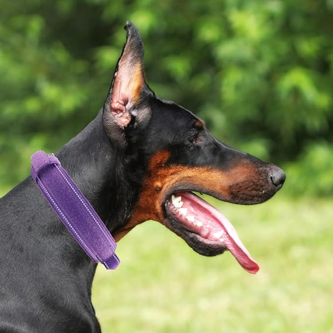 Tactical Dog Collar with Heavy Duty Metal Buckle and Control Handle for Medium Large Dogs Training(Purple, Large)