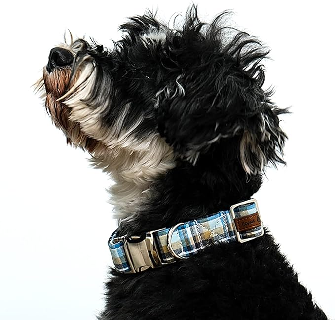 Lionet Paws Boy Dog Collar, Comfortable Adjustable Cute Blue Plaid Collar with Metal Buckle for Male Dogs, Medium, Neck 13.5-22 inches