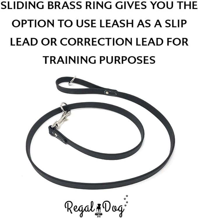 Regal Dog Products Small Black Waterproof Dog Collar and Leash Set | Heavy Duty Double Buckle & D Ring - 5'ft Leash | Adjustable Biothane Dog Collar | Chew Resistant Waterproof Collar for Dogs