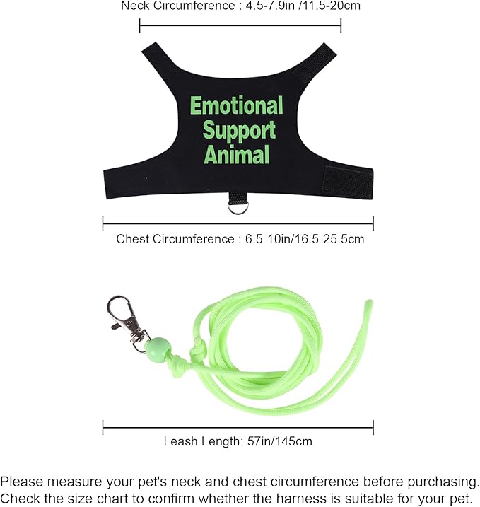 Bearded Dragon Harness and Leash Set Adjustable Reptile Lizard Leash Rope Vest Clothes Starter Kit Accessories for Small Animal Outdoor Walking Training