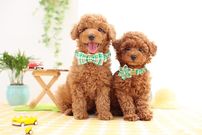 ARING PET Bowtie Dog Collar, Adorable Green Grid Dog Collars with Detachable Bow, Adjustable Collar Gifts for Small Medium Large and Girl Boy Dogs