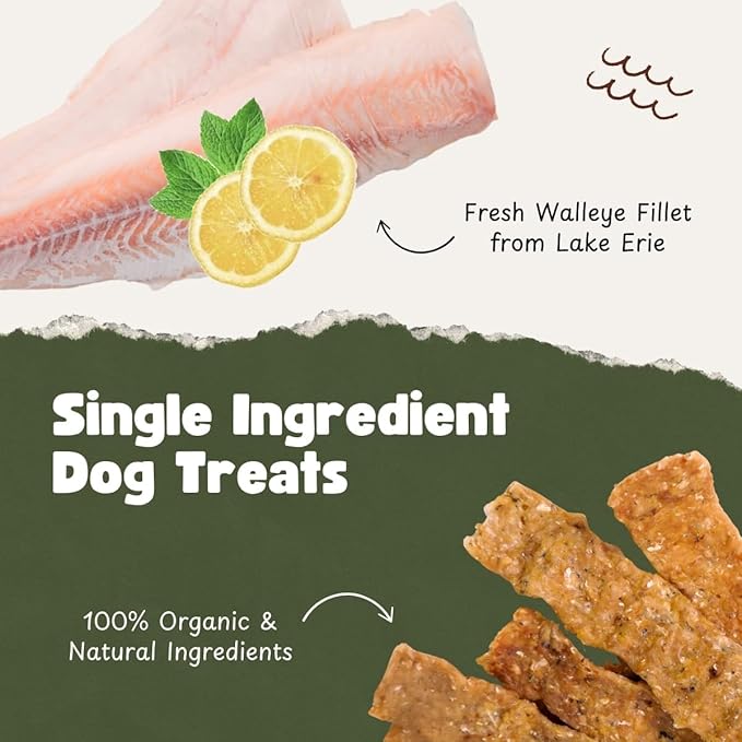 Single Ingredient Dog Treats | Natural Dehydrated Walleye Fish Snacks | Grain-Free High-Protein, Human Grade, No Additive | For Healthy Skin Coat & Dental Care | Dog Training Treats (1LB/16oz Bag)