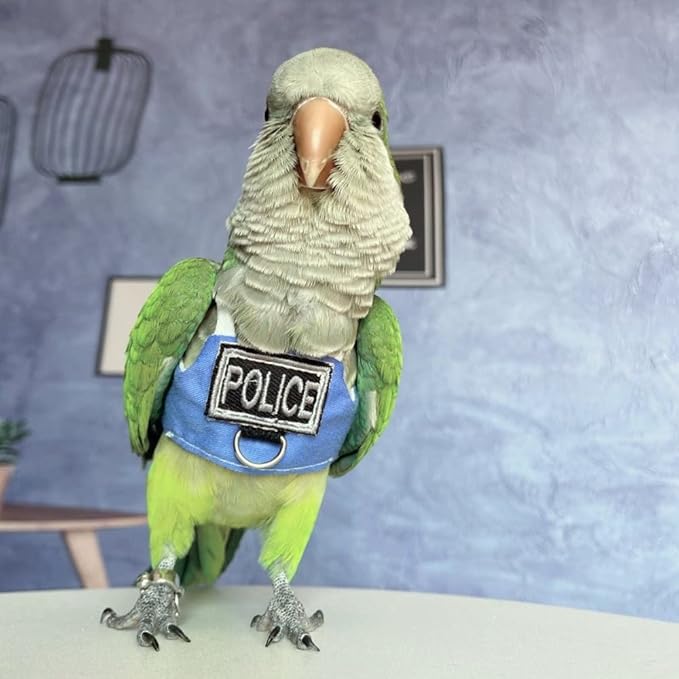 Bird Flight Harness Vest, Parrot Flight Suit with Leash, Bird Flying Clothes with Rope and Handle for Outdoor Activities (Without Leash,Green Quaker)