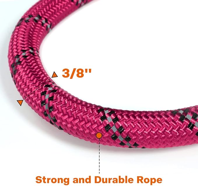 Taglory Rope Dog Leash 5 FT with Comfortable Padded Handle, Highly Reflective Threads Leash for Small Dogs, 3/8 inch, Hotpink