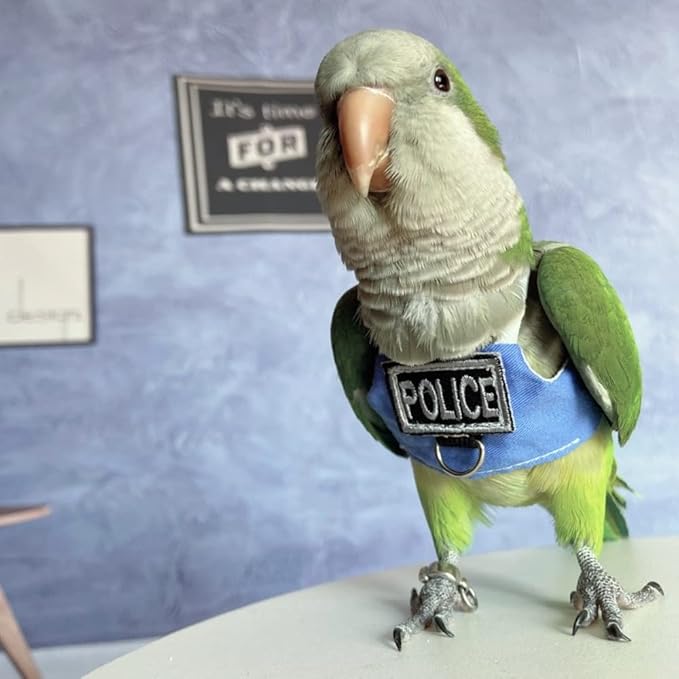 Bird Flight Harness Vest, Parrot Flight Suit with Leash, Bird Flying Clothes with Rope and Handle for Outdoor Activities (with Leash,Cockatiel)