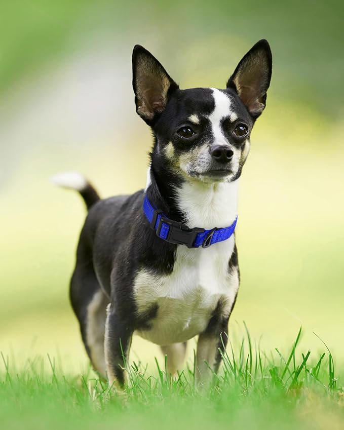 Joytale Reflective Dog Collar,Soft Neoprene Padded Breathable Nylon Pet Collar Adjustable for Puppy and Small Dogs,Navy Blue,XS