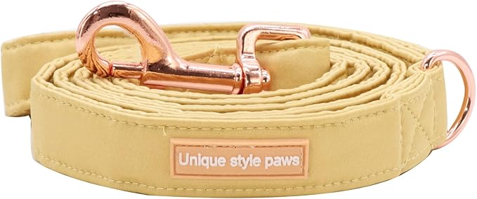 Unique style paws Silk Dog Leash Durable Dog Leashes with Welded D-Ring Comfortable Handle for Small Medium Large Dogs