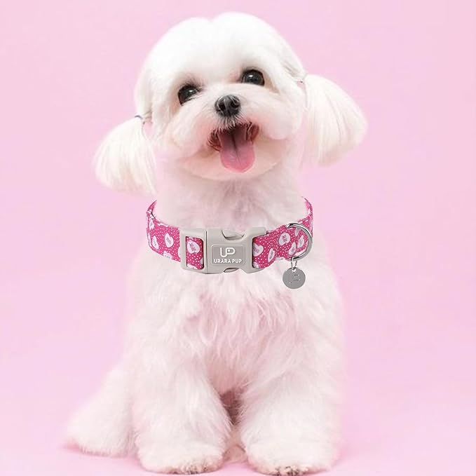 Valentine’s Dog Collar, Pink Heart Dog Collar with Quick Release, Valentine’s Gift Pet Collar for Puppy Girl Boy Dog, Wedding Dog Collar