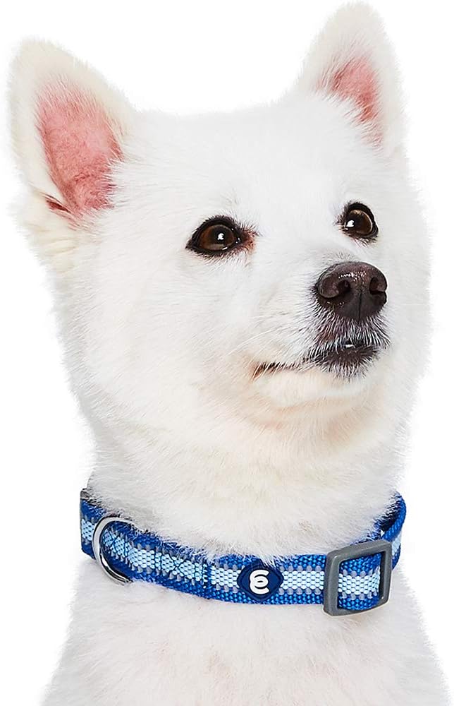 Blueberry Pet Essentials Small Dog Collar | Adjustable Reflective Nylon Dog Collars for Small Dogs | Navy Blue Puppy Collar for Night Walking | Safety Dog Training Collar