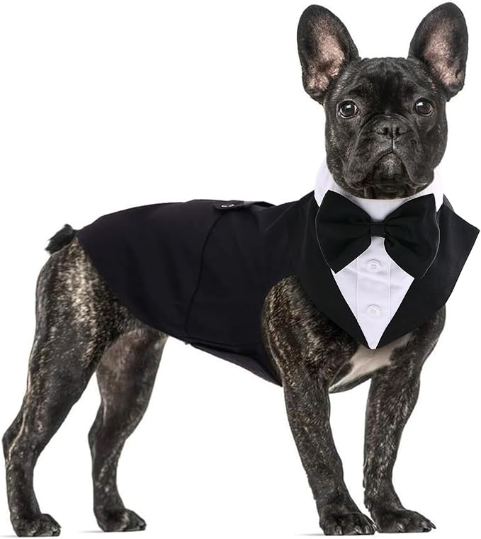 QBLEEV Tuxedo for Small Dogs, Suit and Bandana Set, Wedding Outfit With Bow Tie, Formal Tux Costume for Halloween, Christmas, Birthday Party, Cosplay, Black S