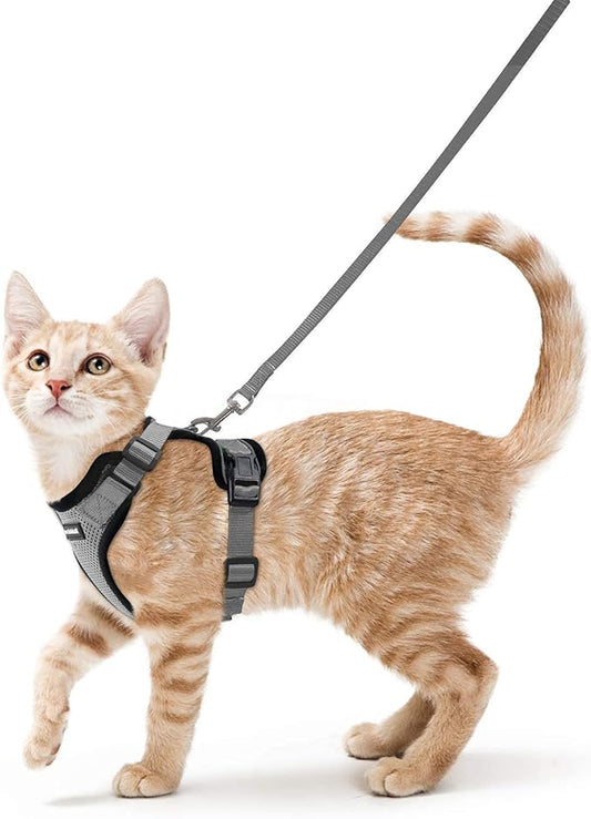 rabbitgoo Cat Harness and Leash for Walking, Escape Proof Soft Adjustable Vest Harnesses for Cats, Easy Control Breathable Reflective Strips Jacket, Grey, XS
