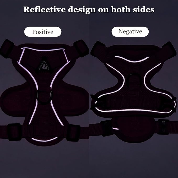 Summer cat Chest Harness and Leash, Anti-Escape Adjustable Soft mesh cat Leash and Chest Harness Set for All Types of Cats cat Vests (Rose red, XL)
