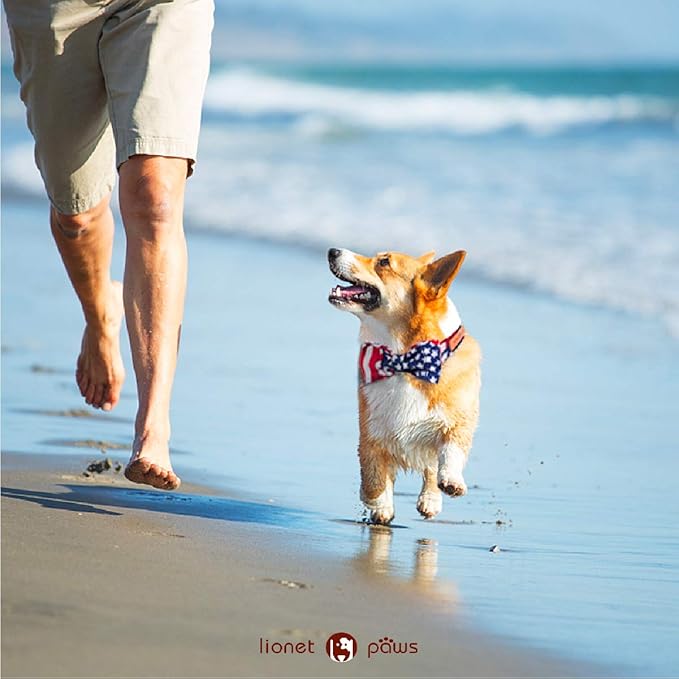 Lionet Paws Patriotic Dog and Cat Collar with Bowtie, 4th of July, Soft and Comfortable, Adjustable Collar for Puppies and Cats, Neck 7-11 inches