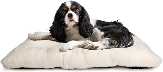 Dog Beds for Crates 30x19 Washable for Medium Size Dogs Soft 30 inch Crate Pad for Kennel or Cage with Anti-Slip Bottom Sleeping Mat Ideal for Dog Crates | Machine Wash & Dryer Friendly,Cream White