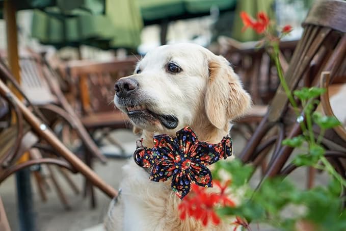 Lionheart Glory Cute Floral Pattern Pet Collar - Adjustable for Small Dogs