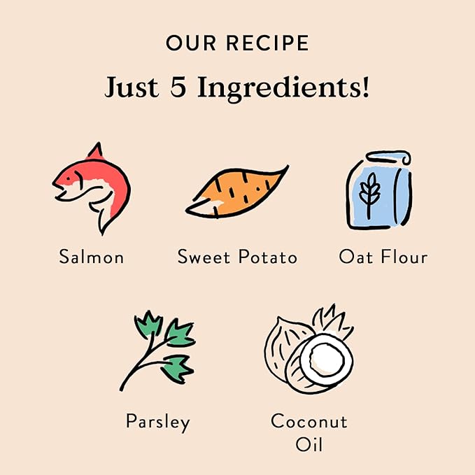 Bocce's Bakery Oven Baked Salmon Recipe Treats for Dogs, Wheat-Free Dog Treats, Made with Real Ingredients, Baked in The USA, All-Natural Salmon, Sweet Potato & Parsley Biscuits, 14 oz