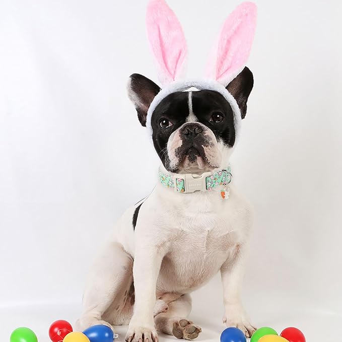ARING PET Easter Dog Collar-Cute Easter Eggs Dog Collar, Adjustable Rabbit&Carrot Print Pet Collars Puppy Collar with Quick Release Buckle for Girl&Boy Dogs