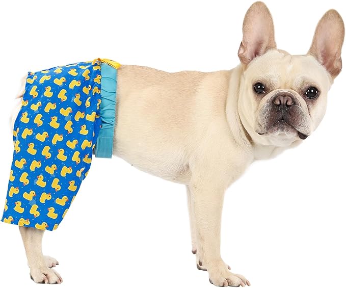 HDE Dog Swim Trunks Hawaiian Board Shorts Beach Pool Swimsuit for XS to XXL Dogs Rubber Ducks - XS