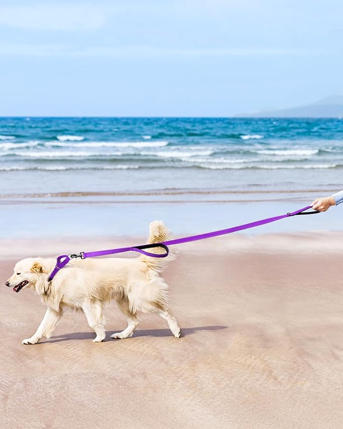 FunTags Reflective Martingale Collar for Dogs, Quick Release Buckle, 5FT Double Handle Dog Leash Padded, Dog Collar and Leash Set, Adjustable for Large Dogs (Purple, L)