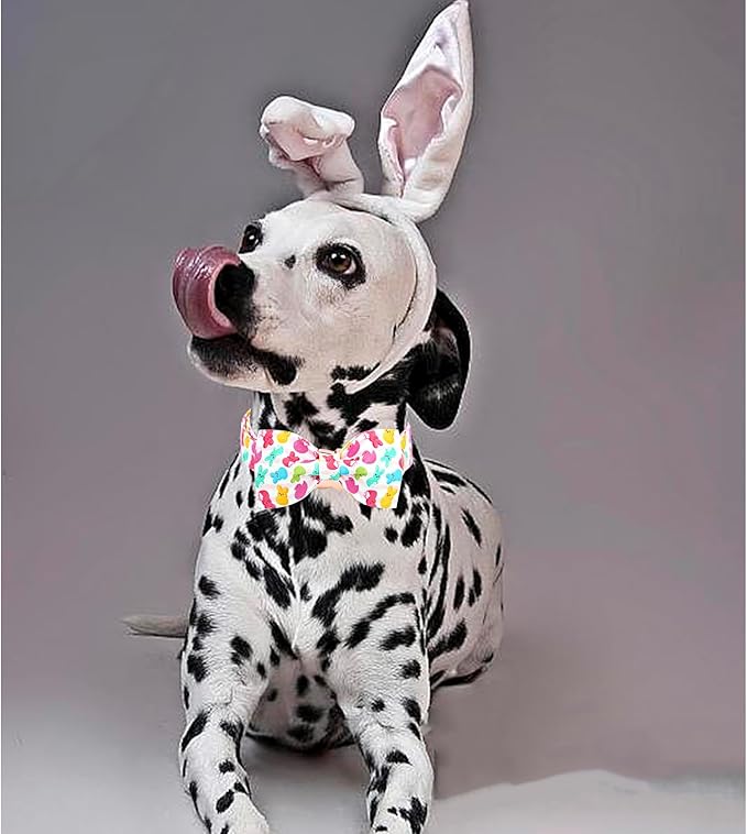 Lionheart glory Dog Bow Collar Easter Day Dog Collar for X-Small Dogs,Easter Rabbits Colorful Dog Collars with Bowtie Spring Bunnies Blue Collars Puppy Bows