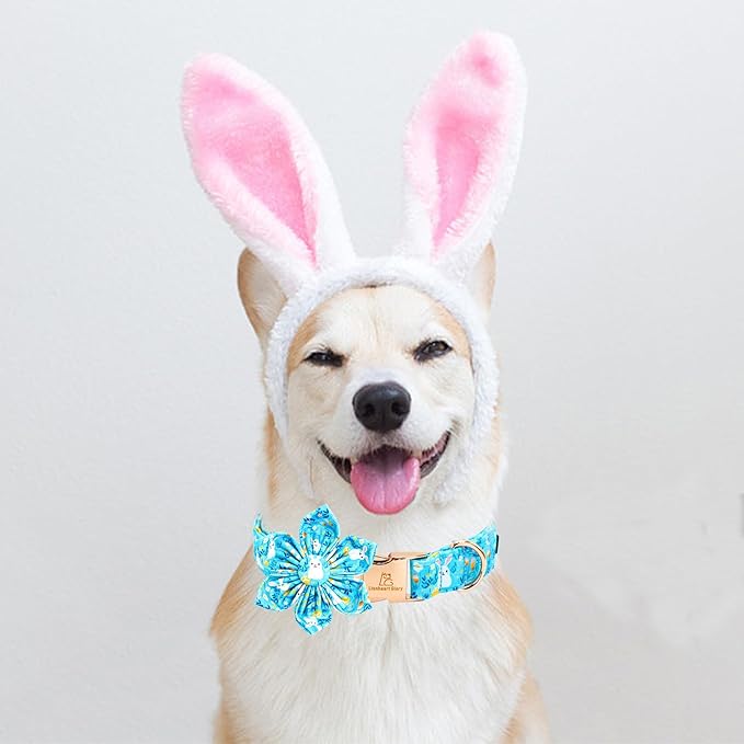 Lionheart glory Easter Day Dog Collar with Flower Dog Collar for Small Dogs, Easter Rabbits Colorful Dog Flower Collars Spring Bunnies Blue Collars Pet Collar Flowers