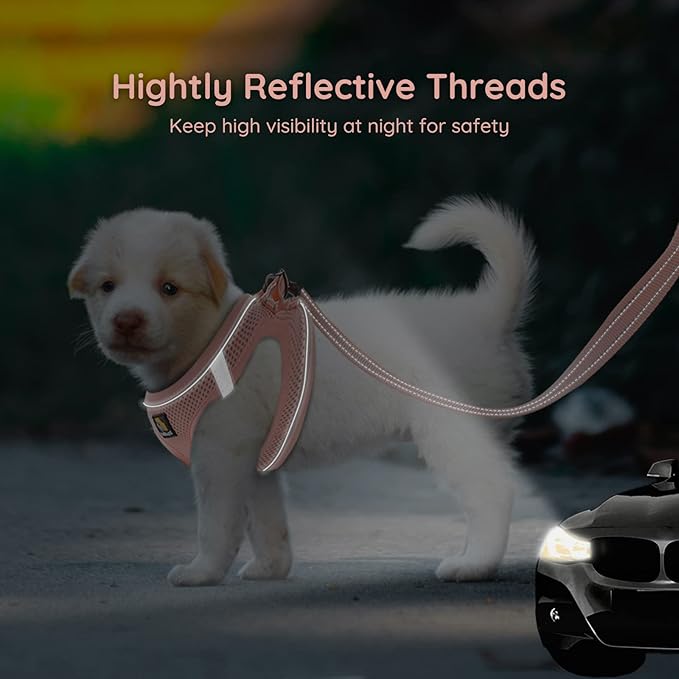 BELLA & PAL Puppy Harness with Leash Set, Dog Harness for Small Dogs No Pull, Dog Leash for Small Dogs, Step in Harness for Extra Small Dogs, Pink Harness, S