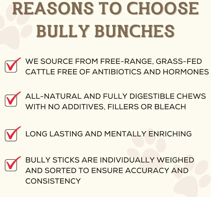 Bully Bunches Premium 6 Inch Standard Odor-Free Bully Sticks for Small to Medium Dogs & Puppies - Long Lasting Chews for Oral Care - All Natural, 100% Beef Dog Treats, Rawhide Free (10 Pk)